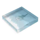 azk1のswim Acrylic Block :placed flat