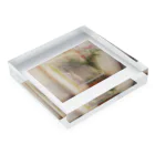 Namidash tilde【~】のliving room Acrylic Block :placed flat