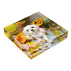 DOG♥ONEのおさげのわんちゃん Acrylic Block :placed flat