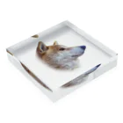 愛犬太郎のグッズの太郎の横顔【柴犬】 Acrylic Block :placed flat