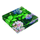 じぇり子の紫陽花 Acrylic Block :placed flat