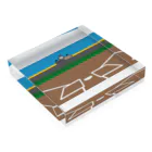 tamaccoの甲子園 Acrylic Block :placed flat