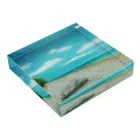 ねこ屋にこ日和のＯＫＩＮＡＷＡ Acrylic Block :placed flat