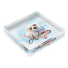 R&Mの絵なんですマルチーズちゃん Acrylic Block :placed flat