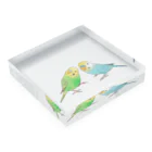 まめるりはことりのセキセイインコ　ちょこんとせきせいんこーず【まめるりはことり】 Acrylic Block :placed flat