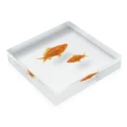 Kanshadoの2匹の金魚 Acrylic Block :placed flat