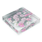 huroshikiの秋桜（青） Acrylic Block :placed flat