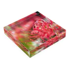 K-ioriの季節の花　彼岸花 Acrylic Block :placed flat