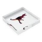 FroschのSpace T-REX Acrylic Block :placed flat