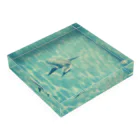 Petrichorの飛ぶペンギン Acrylic Block :placed flat