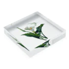 UPENDIの花束 Acrylic Block :placed flat