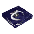 pinnamlarisの名前のない星 Nameless stars Acrylic Block :placed flat