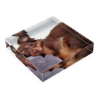 lovedogsの#Lovedogs Acrylic Block :placed flat