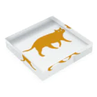 JTadano Collectionのおまわり猫 パポ君 / PAPO Acrylic Block :placed flat