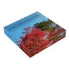 たむっち!の紅葉 Acrylic Block :placed flat