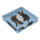 まごの踊るねこ Acrylic Block :placed flat