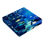 美彩のおさかなBlue Acrylic Block :placed flat