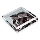 百々田のBro Acrylic Block :placed flat