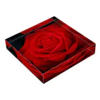 Takashi MUKAIのBlock-Photo-Rose02 Acrylic Block :placed flat