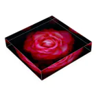 Takashi MUKAIのBlock-Photo-Rose03 Acrylic Block :placed flat