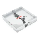 AMINOR (エーマイナー)のSNOWBOARDER Acrylic Block :placed flat