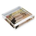 kosshuのイスタンブールの猫 Acrylic Block :placed flat