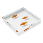 Kanshadoの金魚3尾 Acrylic Block :placed flat