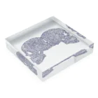 ヴンダーカンマーのDe Vermis Mysteriis Acrylic Block :placed flat