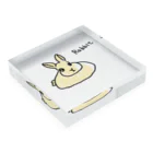 MacasのRabbitくん Acrylic Block :placed flat