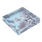 KOUTA TANIGUCHIのsakura2 Acrylic Block :placed flat