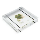 ArtShirtのWhite Southern  Acrylic Block :placed flat