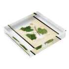 ArtShirtのScuppernong  Acrylic Block :placed flat