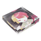 きつねきこゆくん(SYACHI)。の若く見えるだけ Acrylic Block :placed flat