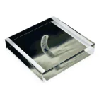 【NICE EEL】チンアナゴのブランドショップのNICE EEL Acrylic Block :placed flat