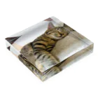 M's photographyの眠る子猫 Acrylic Block :placed flat