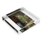 世界の絵画アートグッズのFrans Verhas 《緑のKimonoを着たコレクター》 Acrylic Block :placed flat