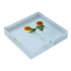 place flowerの紅花 Acrylic Block :placed flat