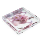 unxgraphyのSAKURA 1 Acrylic Block :placed flat