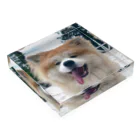 mofuakitaのBIG SMILE AKITA Acrylic Block :placed flat