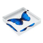 Darkness and individualityのMorpho Acrylic Block :placed flat