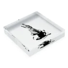 NOBODY754のCrocochinno (Black) Acrylic Block :placed flat