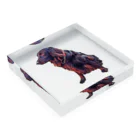 flatcoatedretrieverのflatcoated retriever Acrylic Block :placed flat