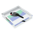 文鳥スズキの文鳥ちゅぴちゃん Acrylic Block :placed flat