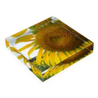 LUVrz factory のSunflower  Acrylic Block :placed flat