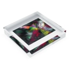 アオムラサキの色彩の羽根　2021_003 Acrylic Block :placed flat