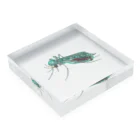 Canvasのラムネ蚊 Acrylic Block :placed flat