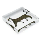 segasworksのきじしろねこ Acrylic Block :placed flat