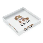 "Schönheit" シェーンハイトの猫のLEON(レオン) Acrylic Block :placed flat