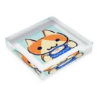 堕落猫のねこちゃんとココア Acrylic Block :placed flat