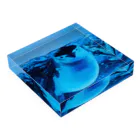 ペンギンの写真のヒゲペンギン　写真　リアル Acrylic Block :placed flat